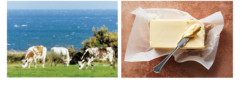 原料へのこだわり