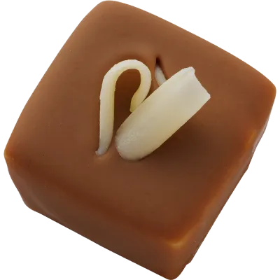 エルダーフラワー