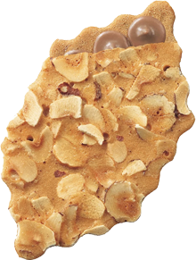 ヘーゼルナッツ＆エキストラミルクチョコレート